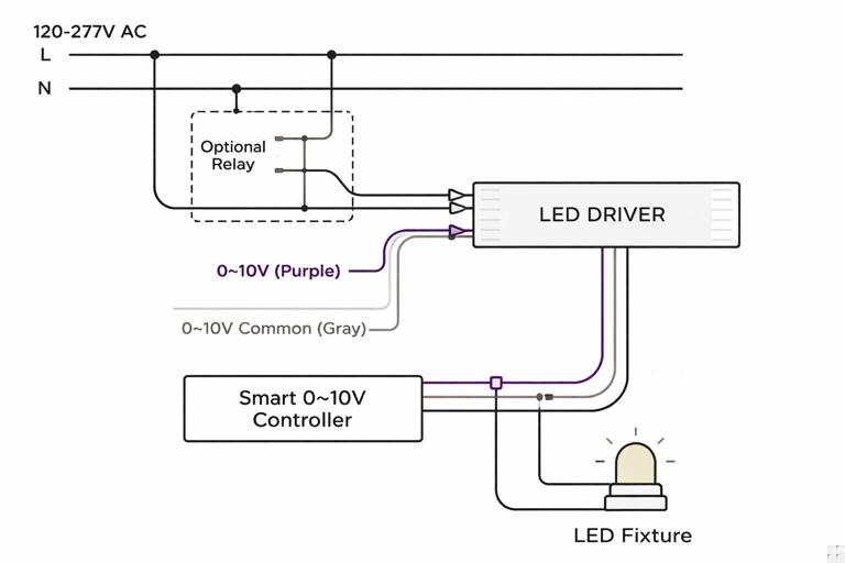 Illustration of a 0–10 V lighting control setup: mains line feeding an LED driver continuously, separate purple and gray low-voltage control pair from a smart 0–10 V controller, optional relay for line switching; clean electrical schematic style, no brand markings.